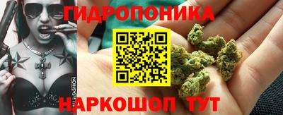 шишки Шелехов