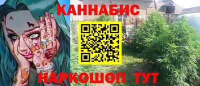 шишки Шелехов