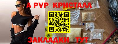 шишки Шелехов