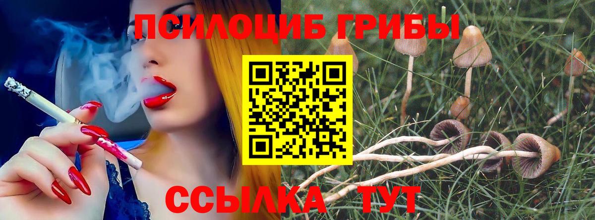 Альметьевск  Псилоцибиновые грибы MAGIC MUSHROOMS  Вход с VPN 