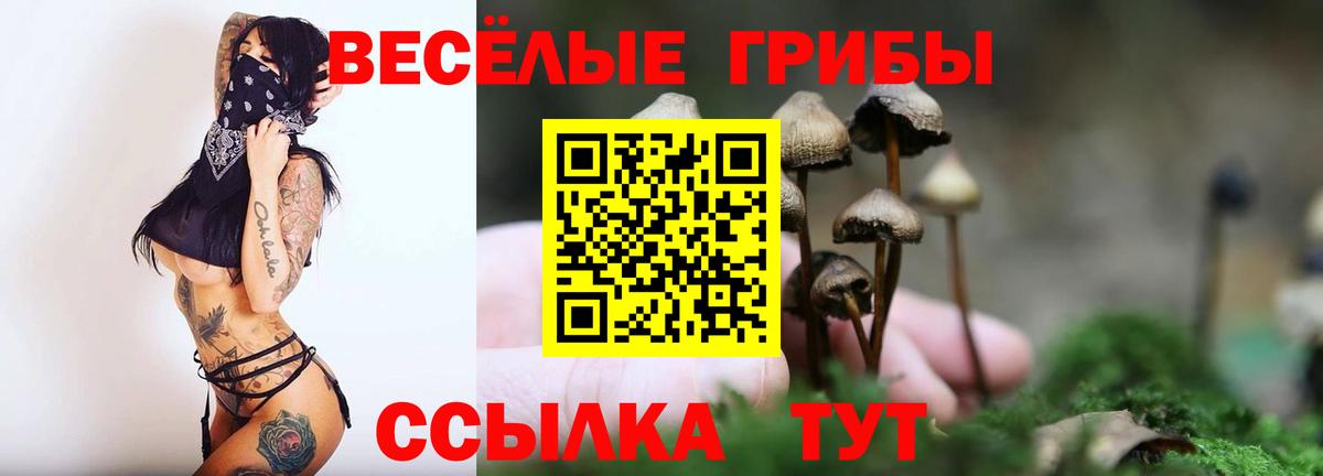 Галлюциногенные грибы Psilocybe Альметьевск